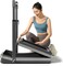 Фото - Беговая дорожка KingSmith Treadmill Z3 Hybrid Black (WP400P42) | click.ua