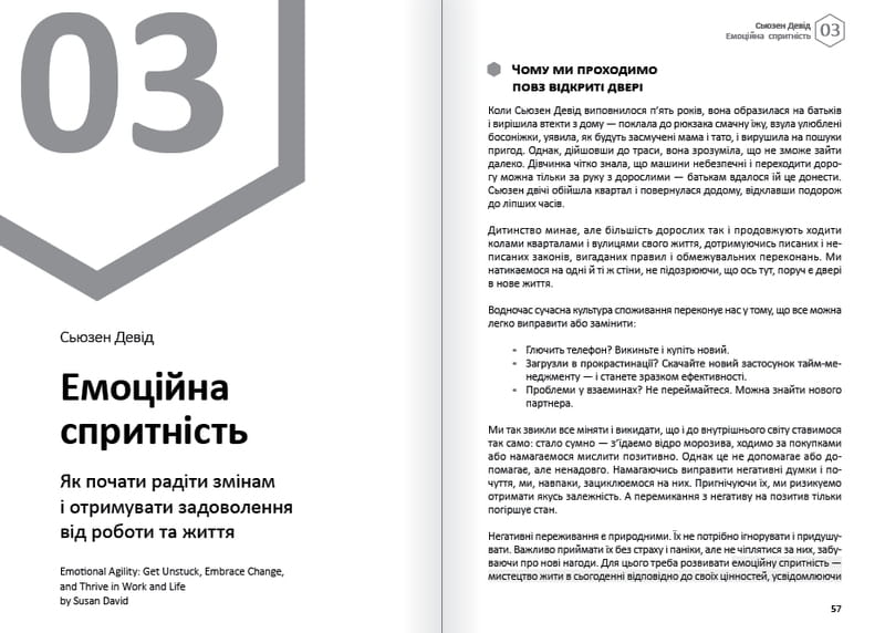 Емоції. Здоровий і щасливий рік. Збірник самарі + Аудіокнижка
