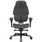 Фото - Крісло для геймерів TX3 Flex Pro Loft Dark Grey (TEGC-307510Z.Z3) | click.ua