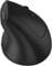Фото - Миша бездротова Canyon MW-25 Ergonomic Black (CNS-CMSW25) | click.ua