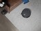 Фото - Робот-пылесос Ecovacs Deebot X8 Pro Omni (DEX56) Black | click.ua
