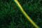 Фото - Шланг 2Е AquaFlex Green 1/2" 50м (2E-GHE12GN50) | click.ua