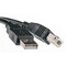 Фото - Кабель PowerPlant (KD00AS1227) USB2.0(AM)-USB2.0(BM), 5м, Black, one ferrite | click.ua