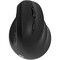 Фото - Мышь беспроводная 2E MF325 Black (2E-MF325WBK) | click.ua
