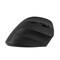 Фото - Мышь беспроводная 2E MF325 Black (2E-MF325WBK) | click.ua