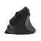 Фото - Мышь беспроводная 2E MF325 Black (2E-MF325WBK) | click.ua
