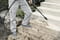 Фото - Минимойка Karcher K 6 Special (1.168-508.0) | click.ua