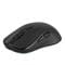 Фото - Миша бездротова 2E Gaming MG270 Black (2E-MG270UB-WL) | click.ua