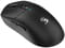 Фото - Мышь беспроводная A4Tech Bloody R72 Pro Duo Black | click.ua