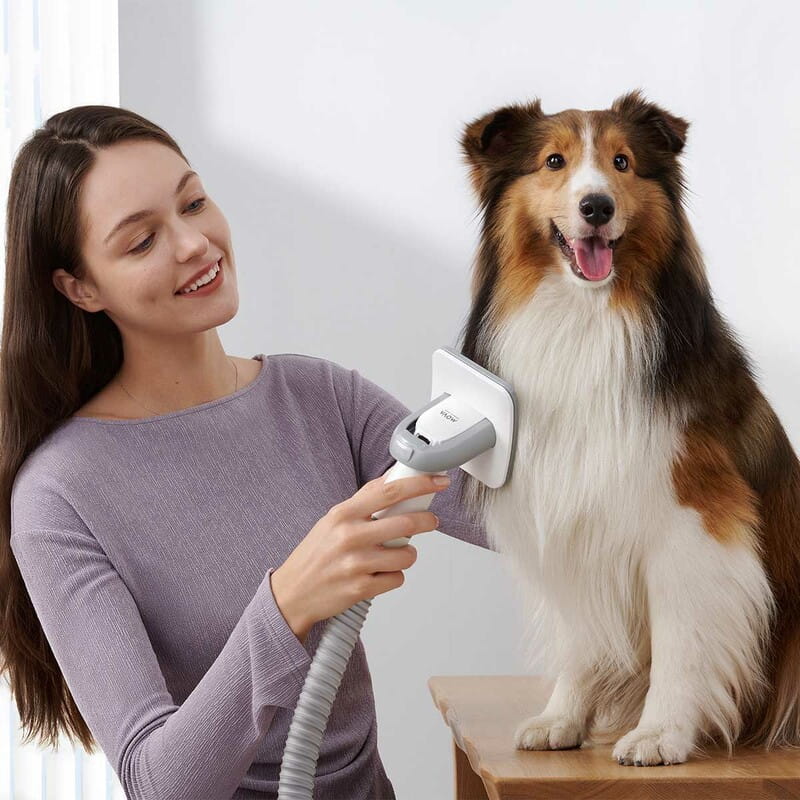 Набір для грумінгу Mova Pet Grooming G1Pro