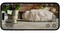 Фото - Робот-пылесос Mova V50 Ultra Complete White (RLV72LE-1) | click.ua