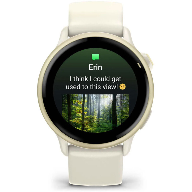 Смарт-часы Garmin Vivoactive 6 Lunar Gold with Bone Silicone Band (010-02985-41)