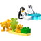 Фото - Конструктор LEGO Duplo Town Семейства диких животных: Пингвины и Львы (10442) | click.ua