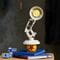 Фото - Конструктор LEGO Ideas Disney Pixar Luxo Jr. (21357) | click.ua