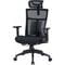 Фото - Кресло офисное Officepro Balance OC620-B-B-B Black | click.ua