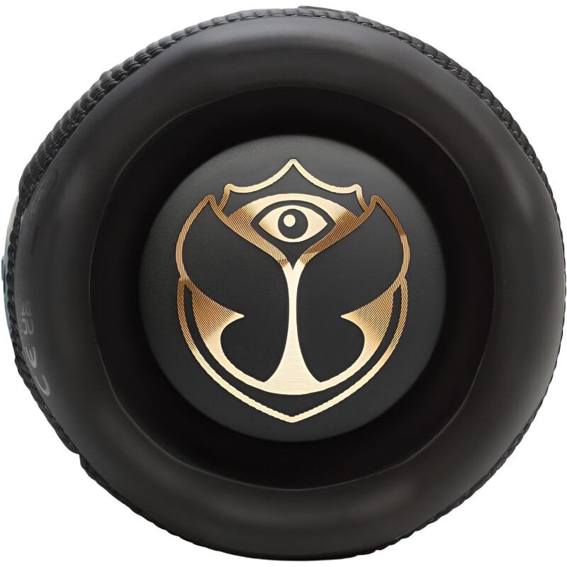 Акустична система JBL Flip 7 Tomorrowland (JBLFLIP7TML)