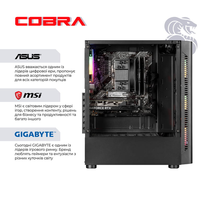 Персональный компьютер COBRA Advanced (A56.32.S10.96XT.20399)