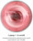 Фото - Фітнес-блендер Tefal Lightmix BL1C0430 | click.ua