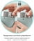 Фото - Фітнес-блендер Tefal Lightmix BL1C0430 | click.ua