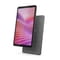 Фото - Планшет Lenovo Idea Tab TB336FU 8/128GB Luna Grey + Pen (ZAFR0462UA) | click.ua