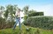 Фото - Триммер Ryobi ONE+ RBC18X20B4F (5133003713) | click.ua