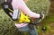 Фото - Триммер Ryobi ONE+ RBC18X20B4F (5133003713) | click.ua