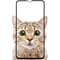 Фото - Защитное стекло BeCover для Samsung Galaxy M15 5G SM-M156 Black (711044) | click.ua