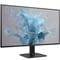 Фото - Монітор Philips 27" 27E2N1110/00 IPS Black 120Hz | click.ua