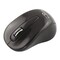 Фото - Мышь беспроводная Esperanza Titanum TM104K Black USB | click.ua