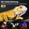 Фото - Проєктор Hopvision H1 Full HD (4262456720031) | click.ua