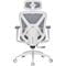 Фото - Крісло офісне OfficePro Atlas OC630-W-DG-DG White/Dark Gray | click.ua