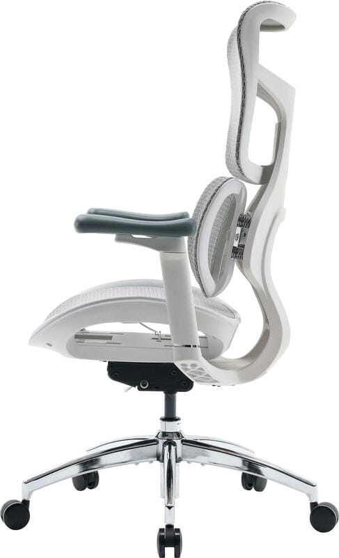 Крісло офісне Sihoo Doro S100 Mesh White (S100-M302)