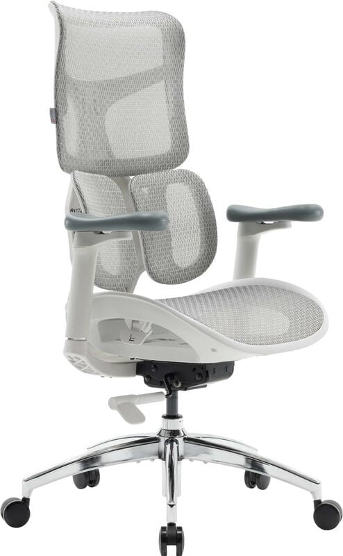 Крісло офісне Sihoo Doro S100 Mesh White (S100-M302)