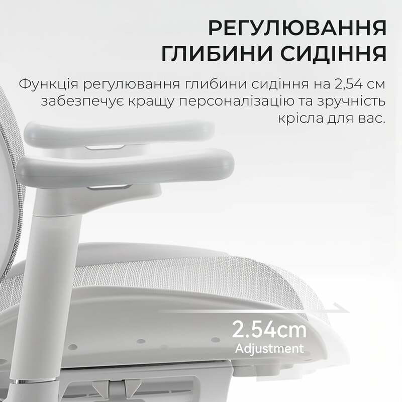 Крісло офісне Sihoo Doro S100 Mesh White (S100-M302)