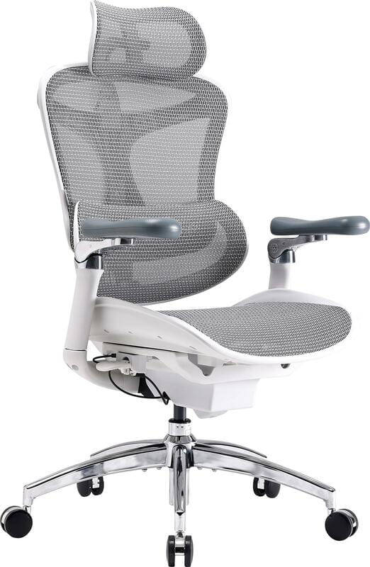 Кресло офисное Sihoo Doro C300 Pro Mesh White (DORO-C300-PRO-M102)