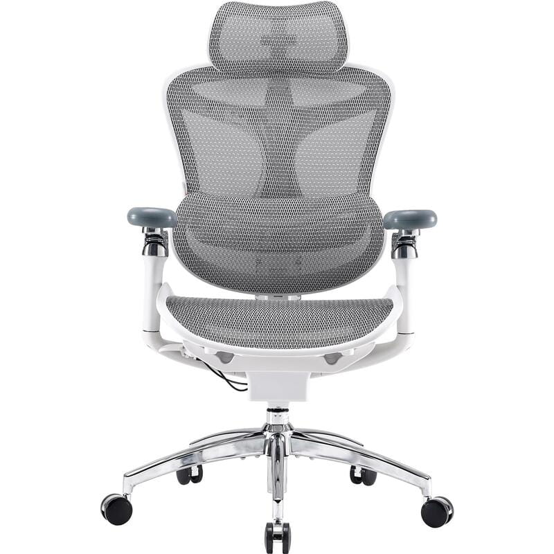 Кресло офисное Sihoo Doro C300 Pro Mesh White (DORO-C300-PRO-M102)