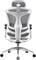 Фото - Кресло офисное Sihoo Doro C300 Pro Mesh White (DORO-C300-PRO-M102) | click.ua