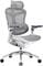Фото - Кресло офисное Sihoo Doro C300 Pro Mesh White (DORO-C300-PRO-M102) | click.ua