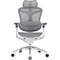 Фото - Кресло офисное Sihoo Doro C300 Pro Mesh White (DORO-C300-PRO-M102) | click.ua