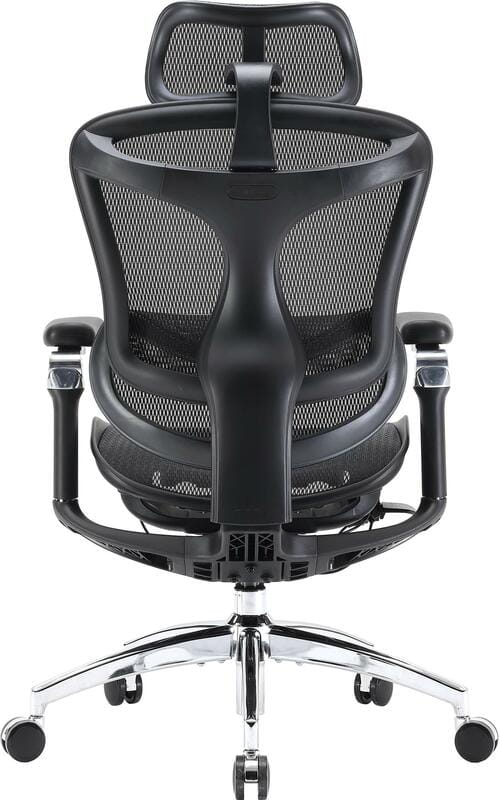 Крісло офісне Sihoo Doro C300 Pro Mesh Black (DORO-C300-PRO-M101)