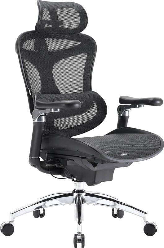 Крісло офісне Sihoo Doro C300 Pro Mesh Black (DORO-C300-PRO-M101)