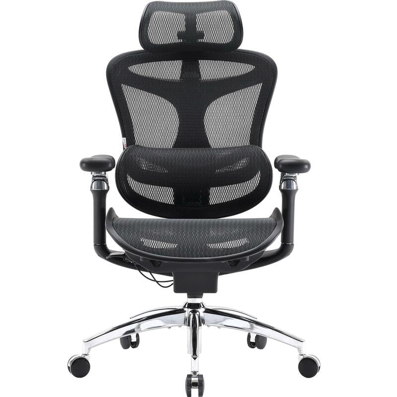 Крісло офісне Sihoo Doro C300 Pro Mesh Black (DORO-C300-PRO-M101)