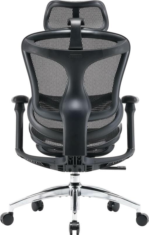 Кресло офисное Sihoo Doro C300L Mesh Black (DORO-C300L-A3-101)