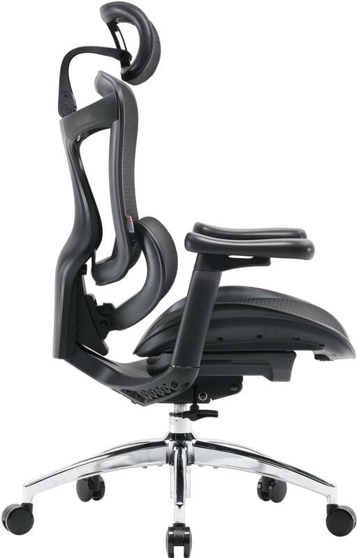 Кресло офисное Sihoo Doro C300L Mesh Black (DORO-C300L-A3-101)