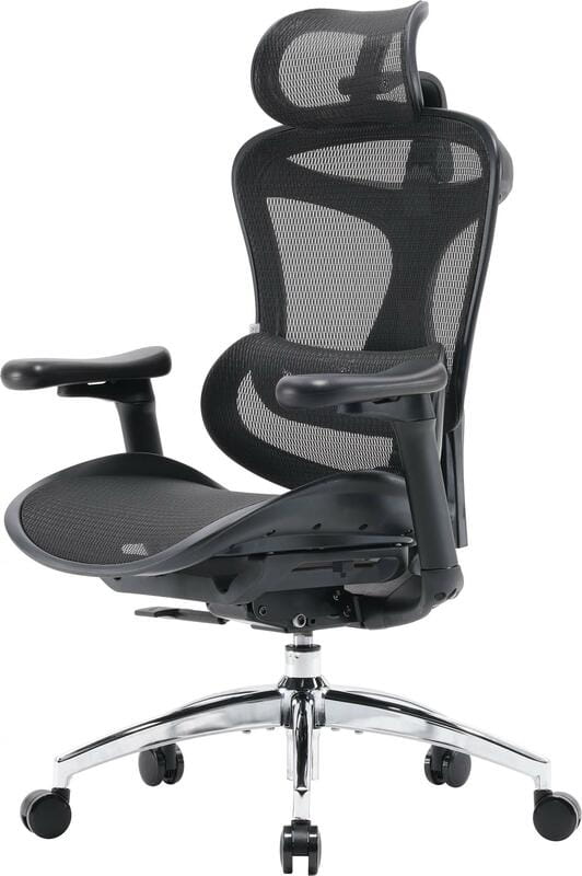 Кресло офисное Sihoo Doro C300L Mesh Black (DORO-C300L-A3-101)