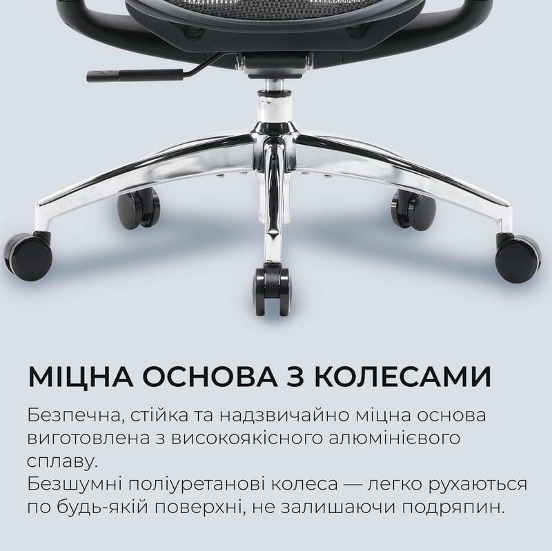Кресло офисное Sihoo Doro C300L Mesh Black (DORO-C300L-A3-101)