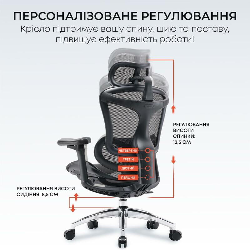 Кресло офисное Sihoo Doro C300L Mesh Black (DORO-C300L-A3-101)