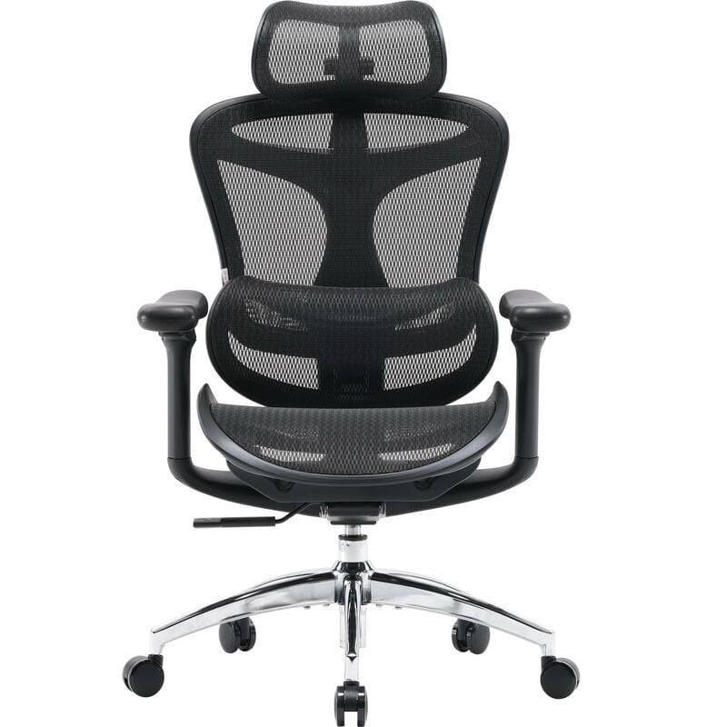 Кресло офисное Sihoo Doro C300L Mesh Black (DORO-C300L-A3-101)