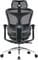 Фото - Кресло офисное Sihoo Doro C300L Mesh Black (DORO-C300L-A3-101) | click.ua
