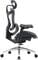 Фото - Кресло офисное Sihoo Doro C300L Mesh Black (DORO-C300L-A3-101) | click.ua
